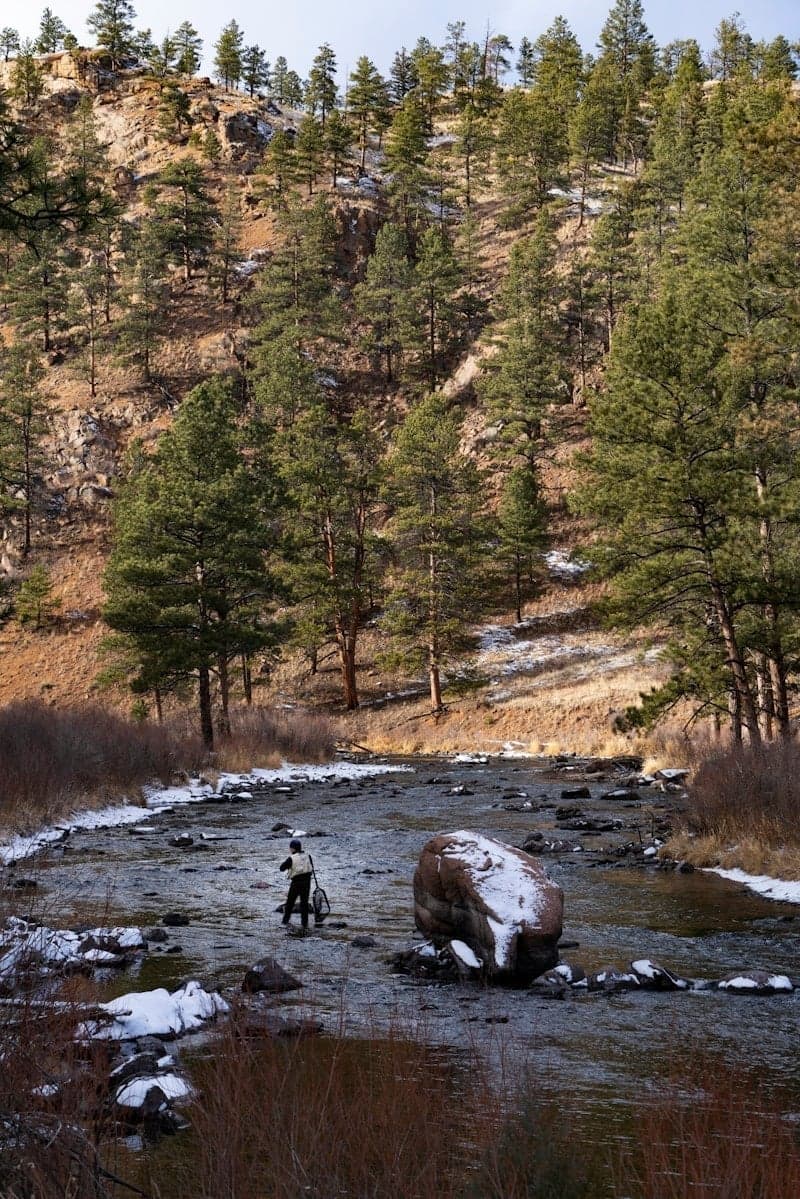 The reward: landing fish in Colorado's stunning mountain rivers