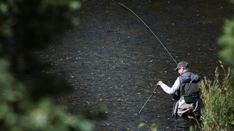 Big Hole River, Montana - one of the West's best salmonfly fisheries
