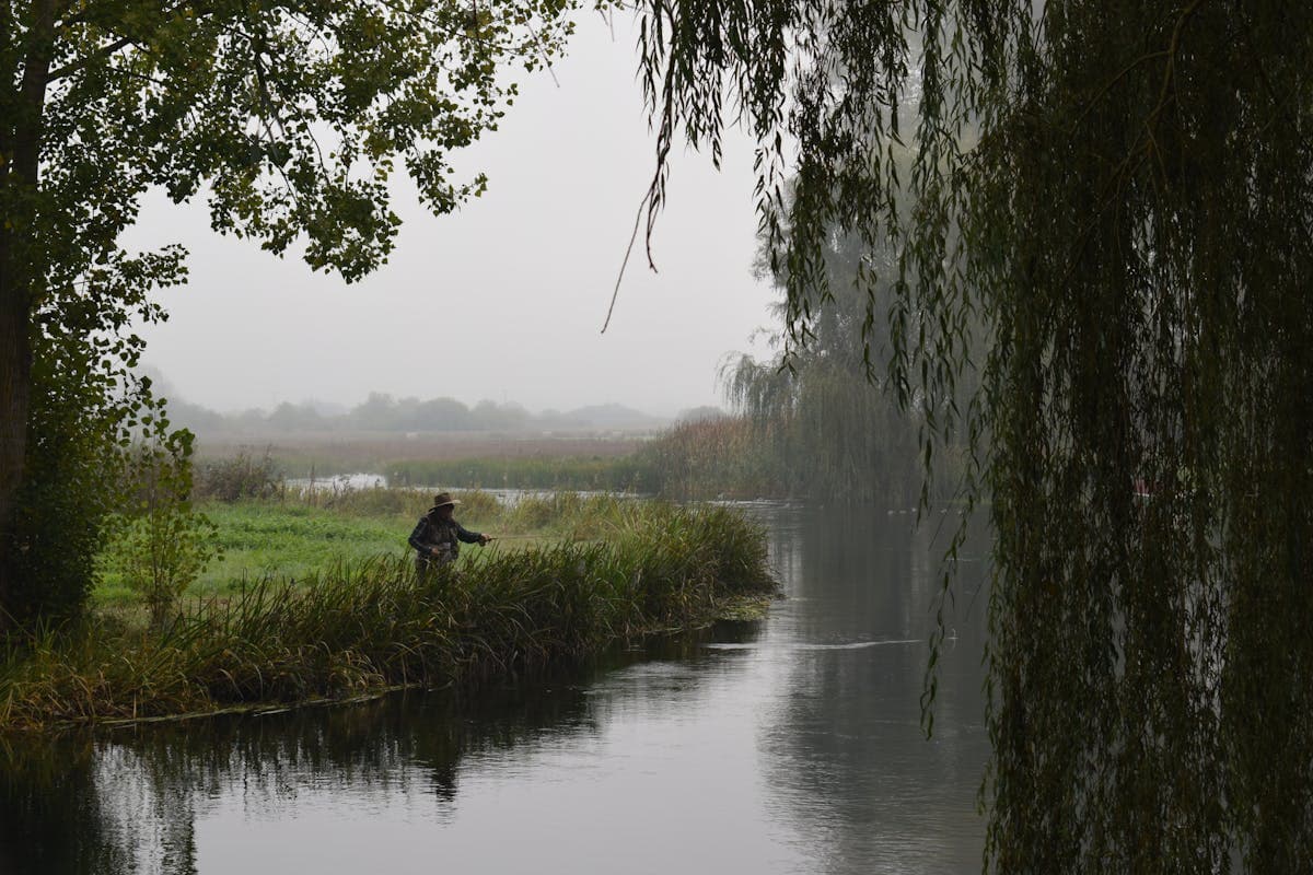An angler wading a misty tributary during the fall steelhead run — overcast, drizzly days like this push fresh fish upstream