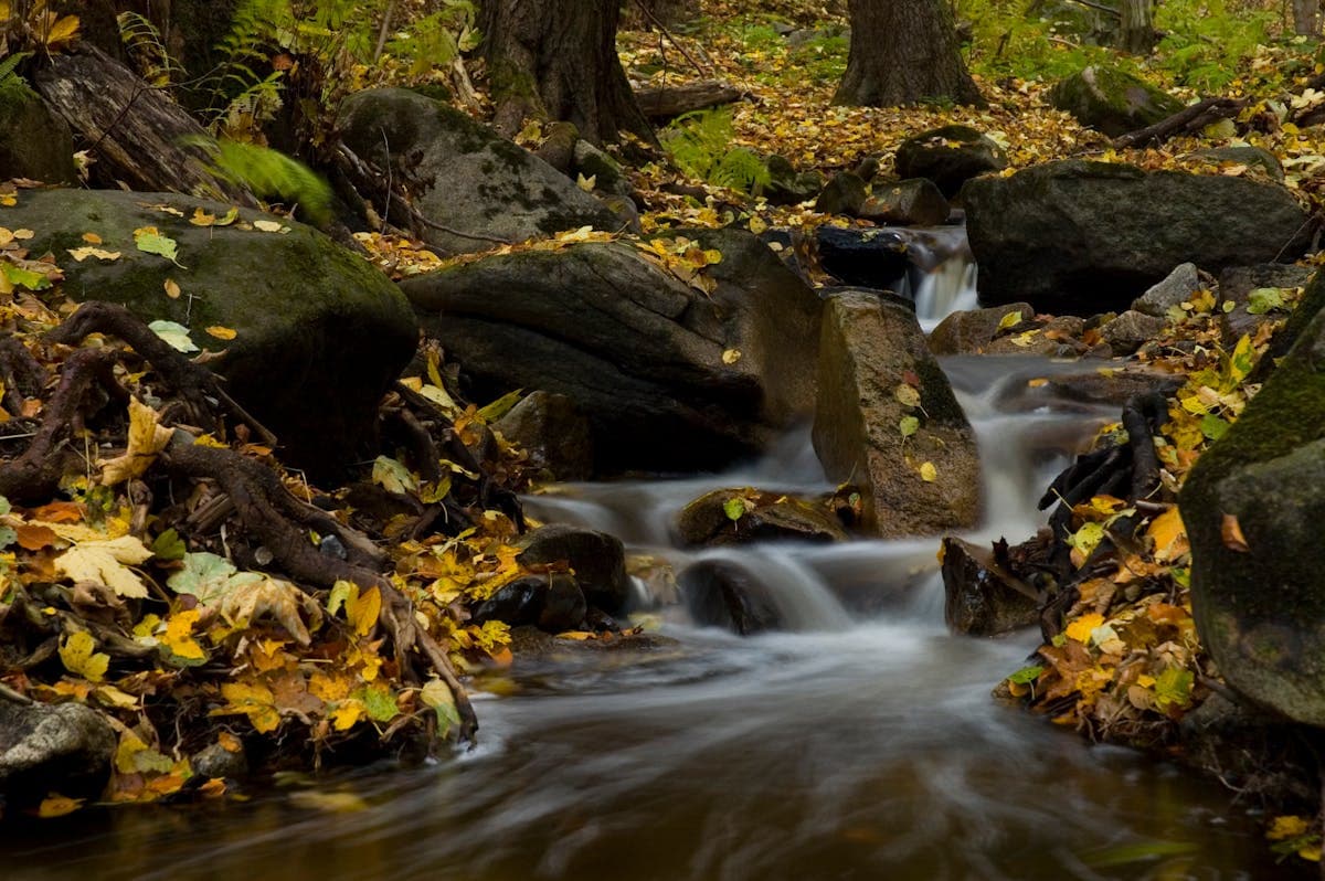 A typical Great Lakes steelhead tributary — small, rocky creeks like this can hold surprising numbers of chrome fish after a fall rain event