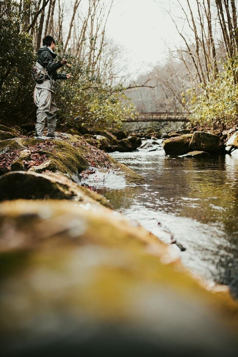 Eastern trout water doesn't have 13,000-foot peaks—it has canopy, solitude, and wild fish that have been here longer than you