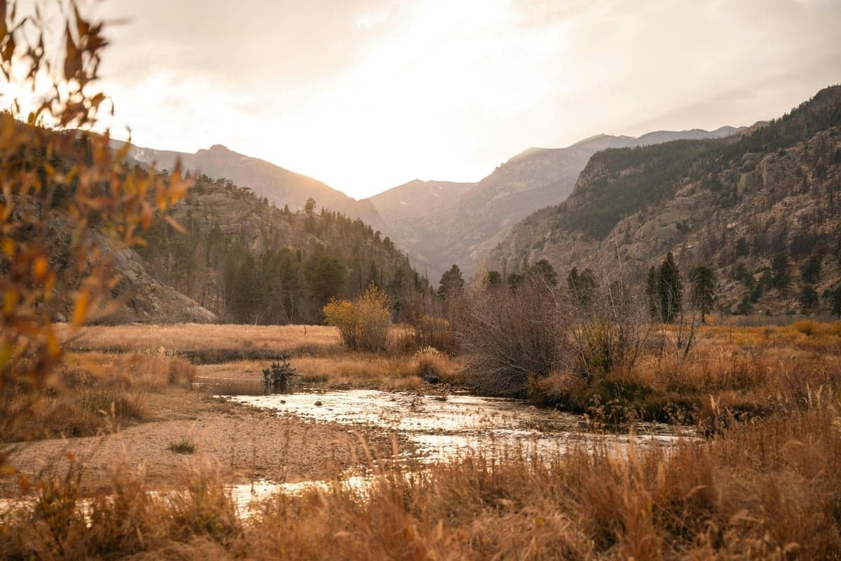 Many of Colorado's best trout streams are tracked in real-time on the new map