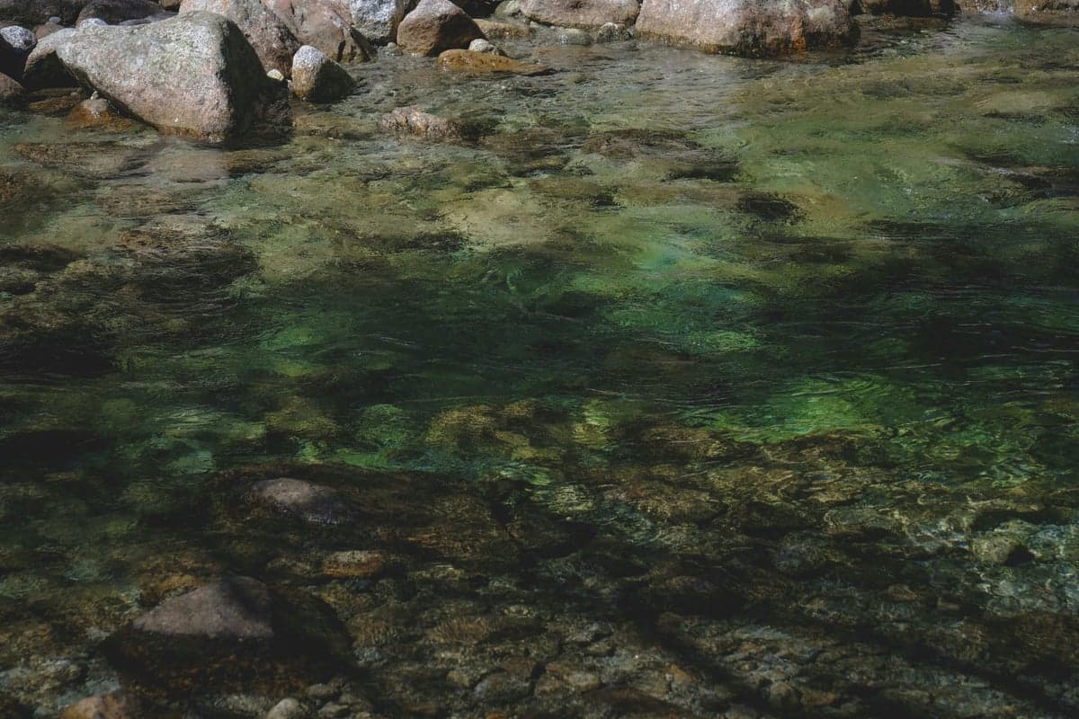 Clear water over rocky cobble, the kind of readable structure that makes wade fishing productive