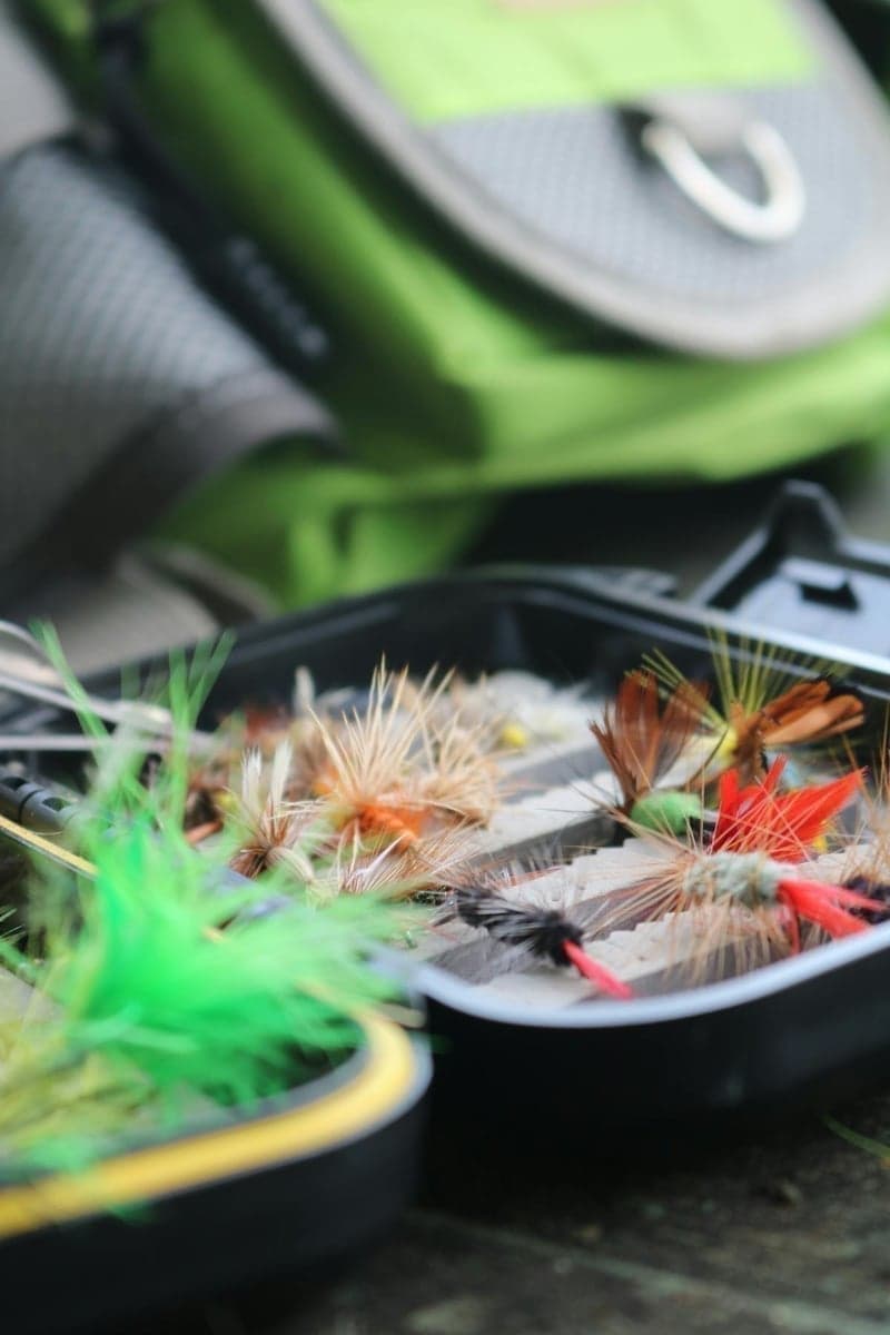 A well-stocked fly box for the Missouri should cover midges, BWOs, caddis, PMDs, and Tricos