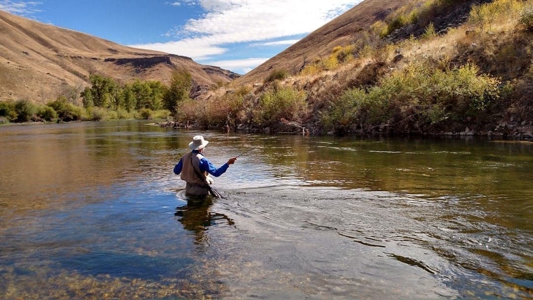 The Weber River offers bigger fish on average and far less pressure than the Provo