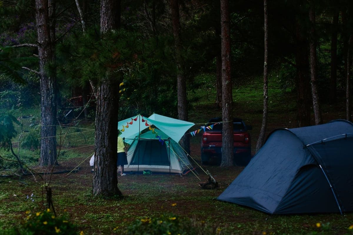 Tents and a vehicle at a drive-in site among pines. Four Forest Service campgrounds line Eleven Mile Canyon, and Spillway sits at the very end of the road below the dam, which puts you closest to the catch-and-release water.