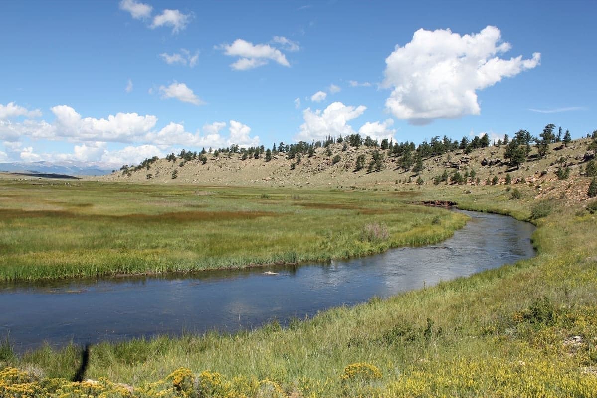 The South Fork of the South Platte—a quieter alternative to the main stem