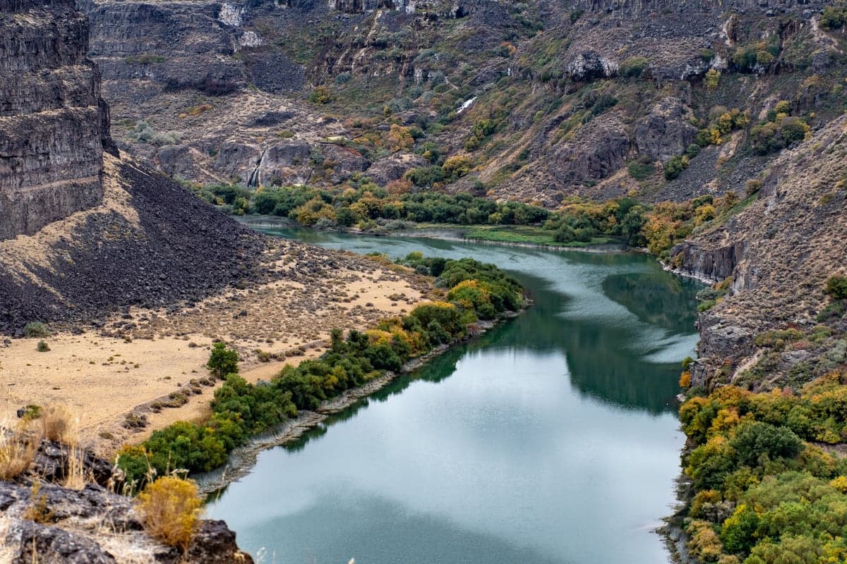 Fall along the Gunnison brings color to the canyon walls and aggressive brown trout to the river. September through early November is the best window for streamer fishing.
