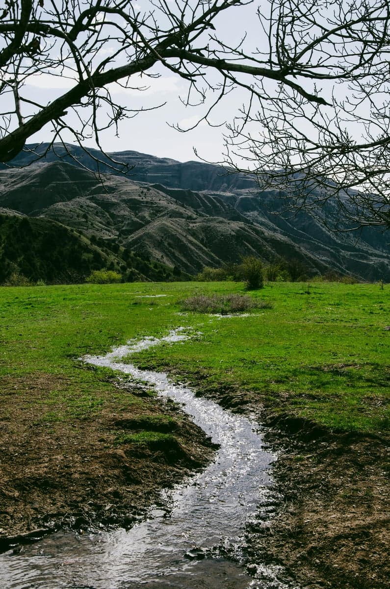 Mountain stream flowing through a green meadow with peaks in the background