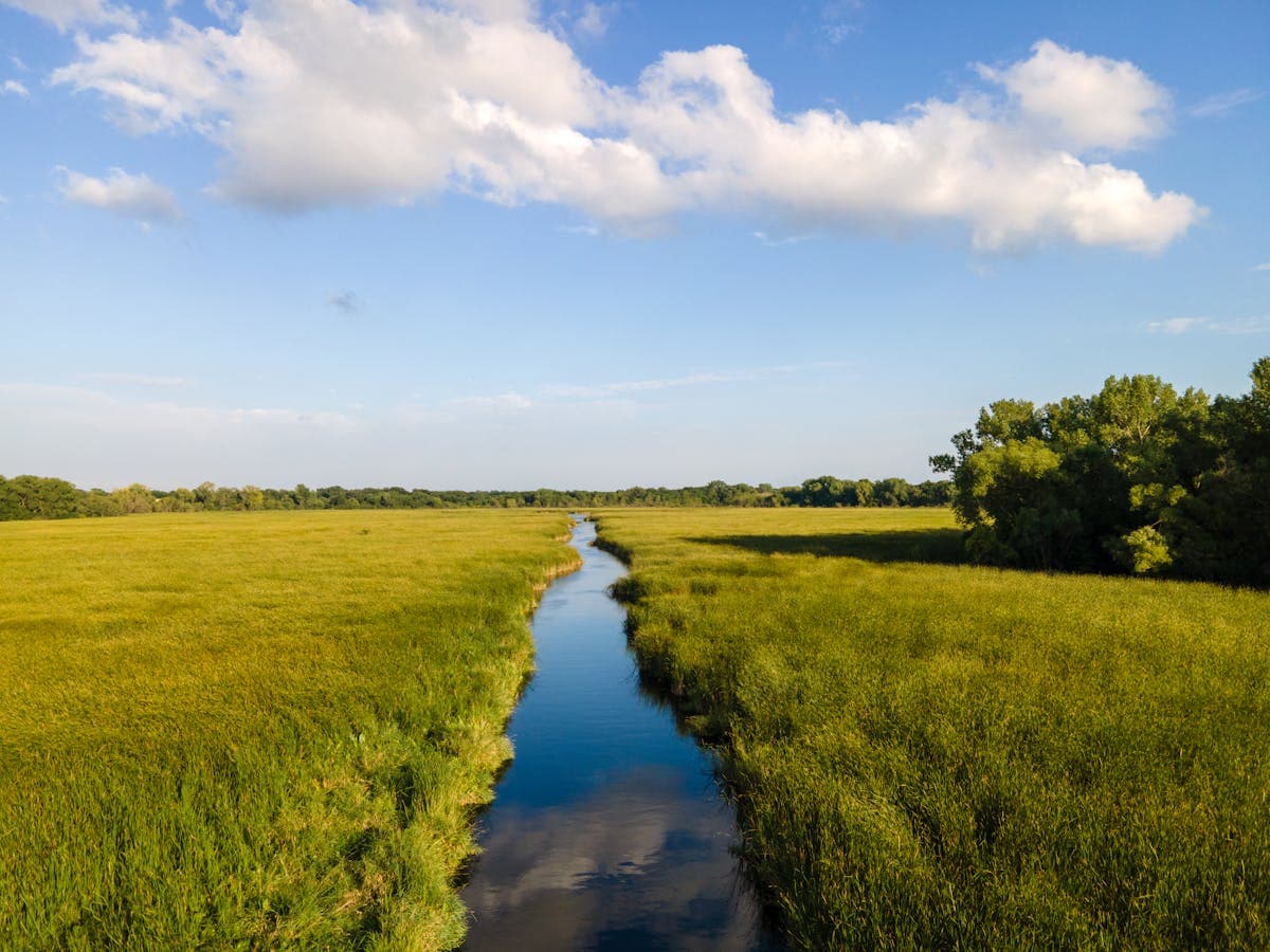 Wide, open meadow water demands careful presentations - the kind of challenge that makes you a better angler