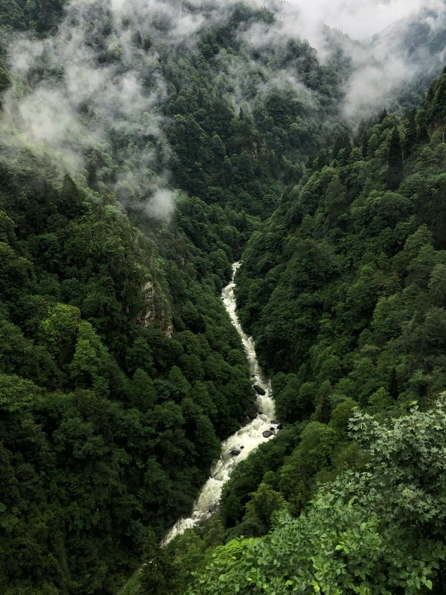 Aerial view of a misty green forest with a winding river cutting through the canopy