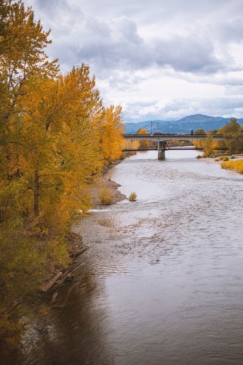Fly fisherman casting in a mountain river surrounded by autumn foliage