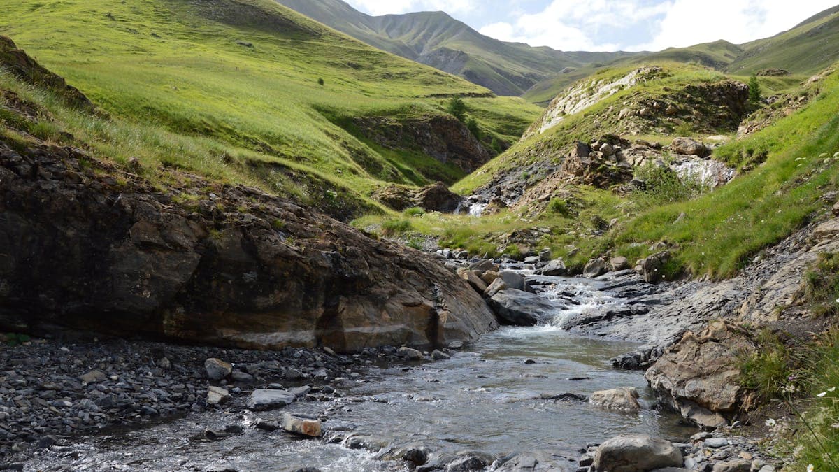 A mountain creek winding through green valley — the character of Montana's Paradise Valley spring creeks