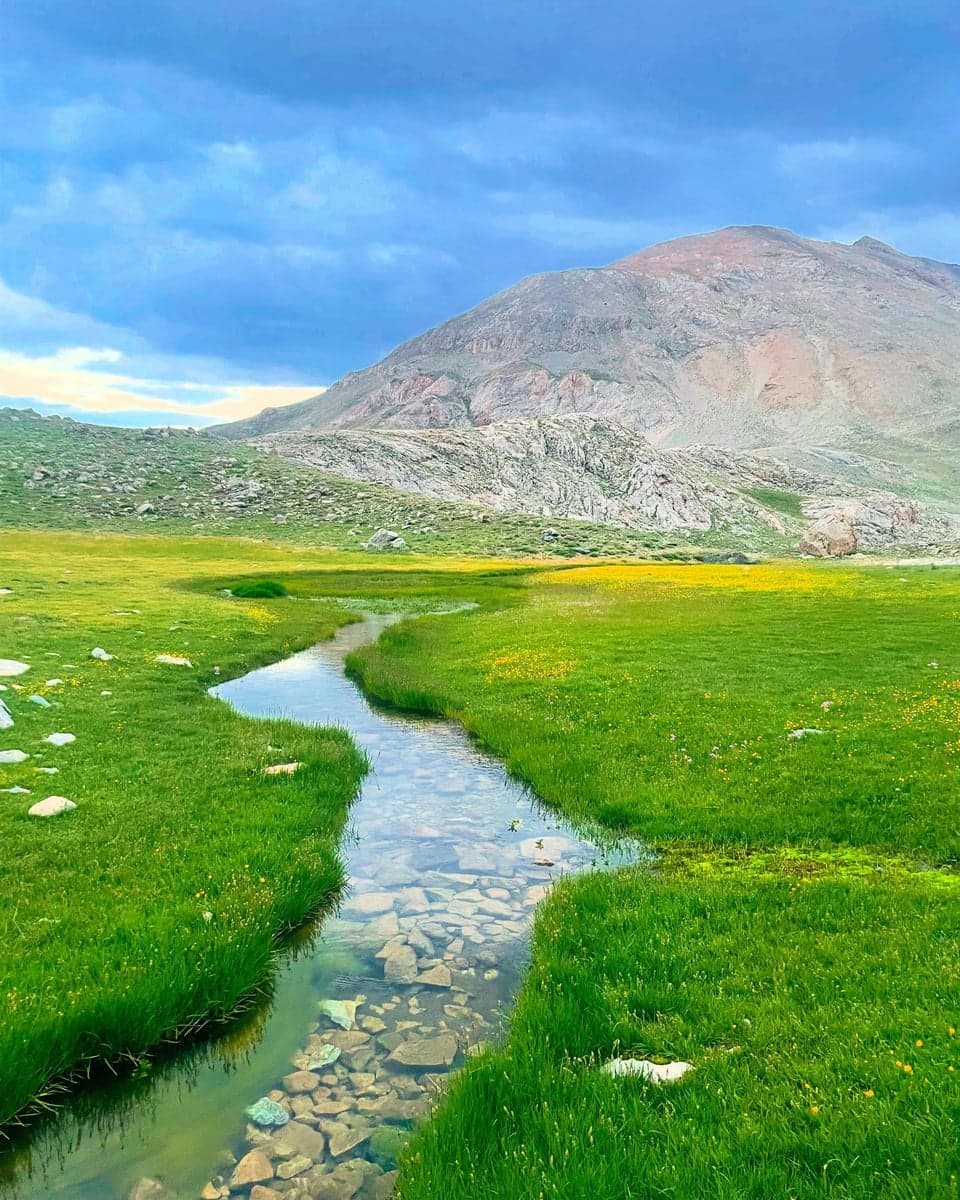 High-altitude meadow streams stay cold enough for trout through the hottest weeks of summer.