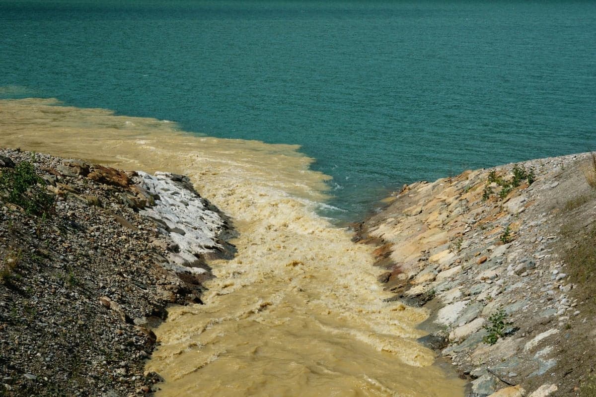 Sediment-laden water meeting clear water, with a hard line between them. That line is the practical signature of a burn-scar storm, and on the river it shows up where a dirty tributary comes in.