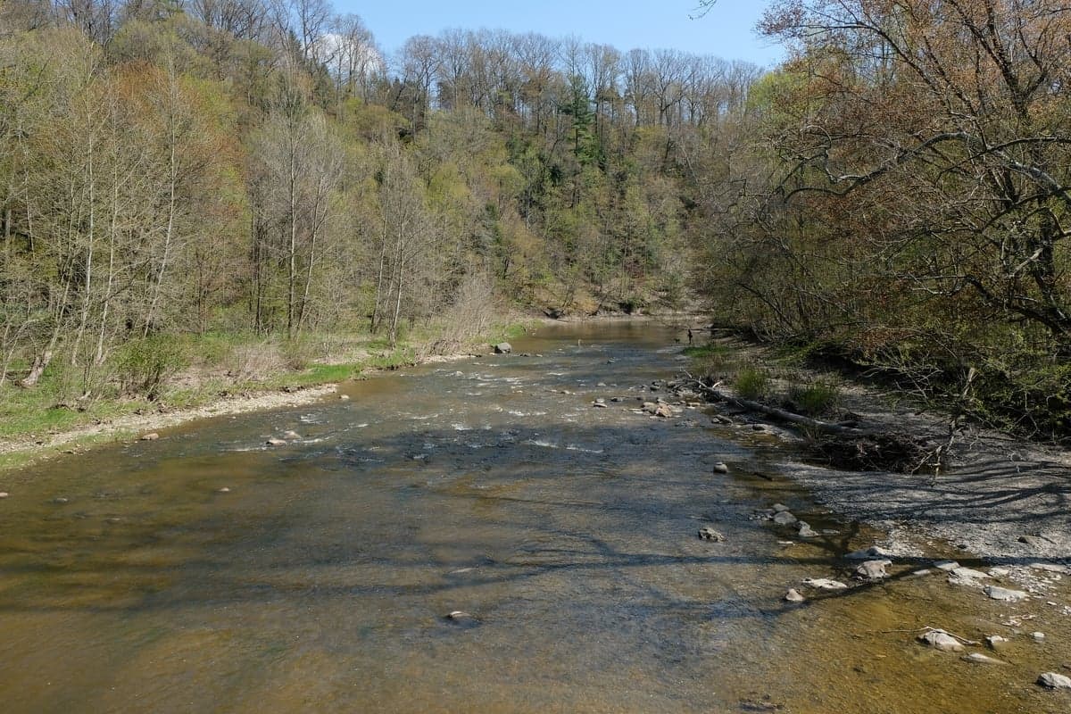 The Ashtabula River from the Riverview Covered Bridge — the Ashtabula clears first after storms and gets less angling pressure than the larger tributaries