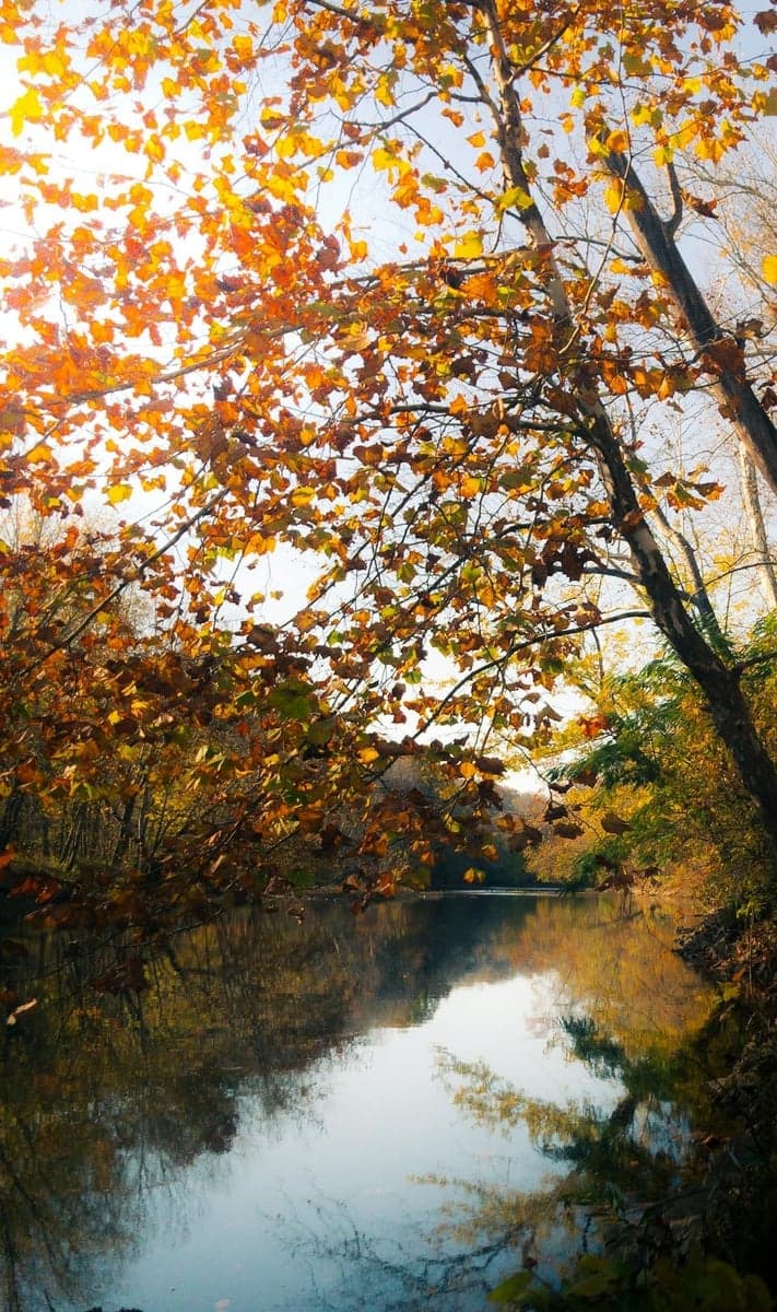 Tranquil river scene in Ohio with vibrant autumn foliage reflecting in calm waters