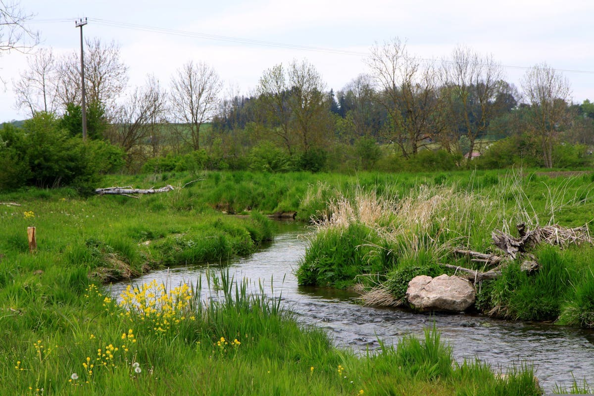 A clear spring-fed stream flowing through green pastoral landscape — the character of Pennsylvania's limestone spring creeks