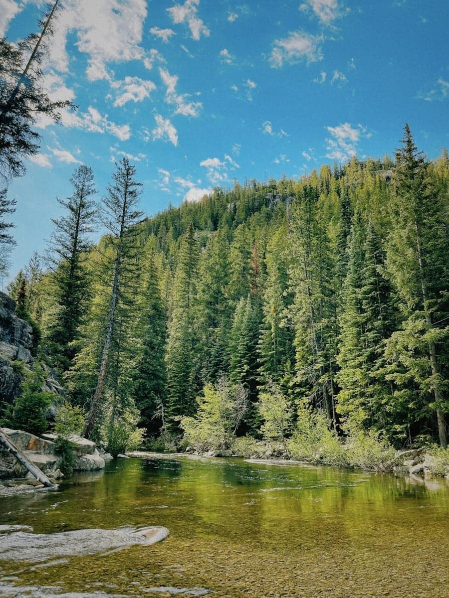 The Roaring Fork near Aspen. Green Drake hatches in late June draw anglers from across the country.
