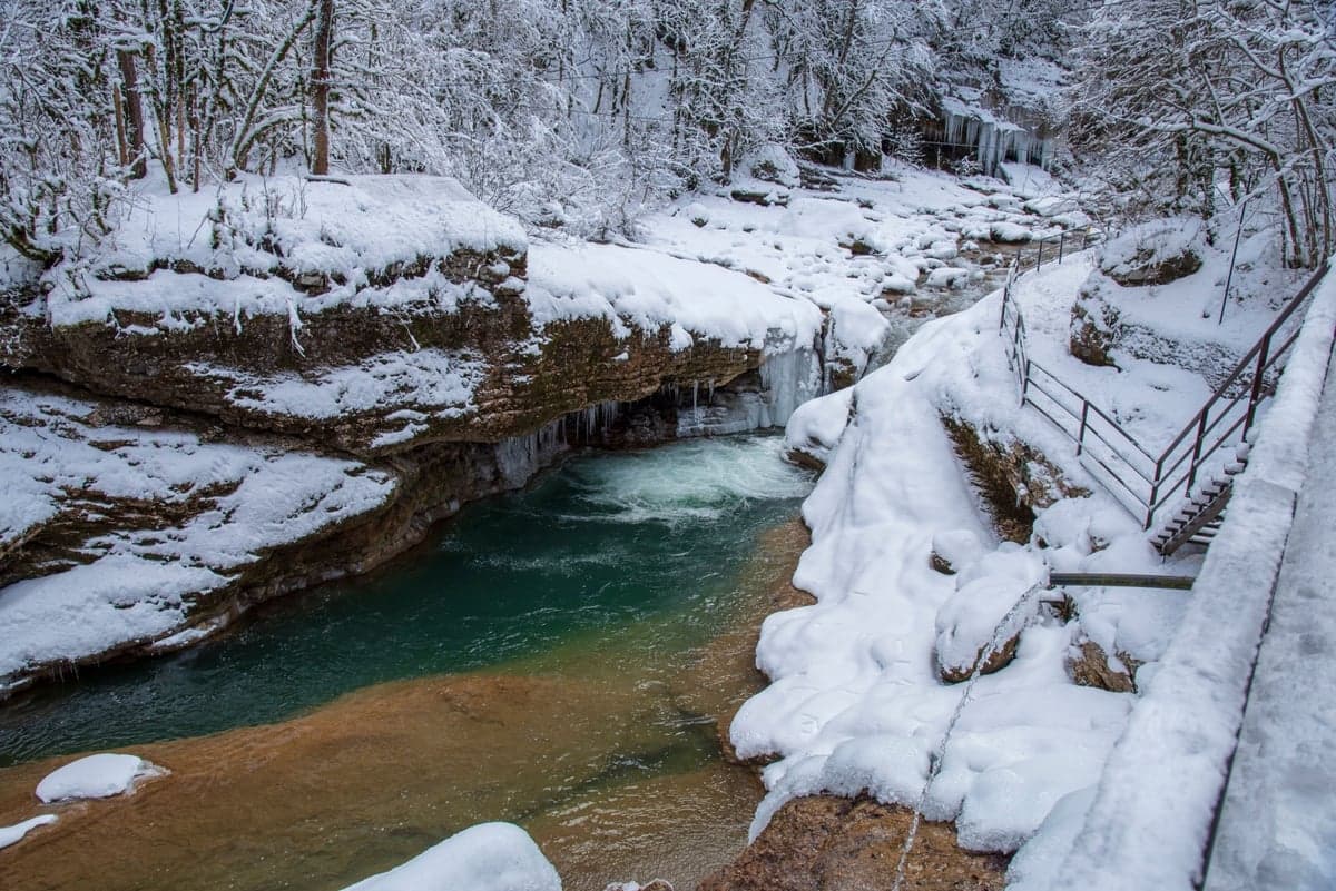 A freestone in January. Pretty, and not worth the gas money.
