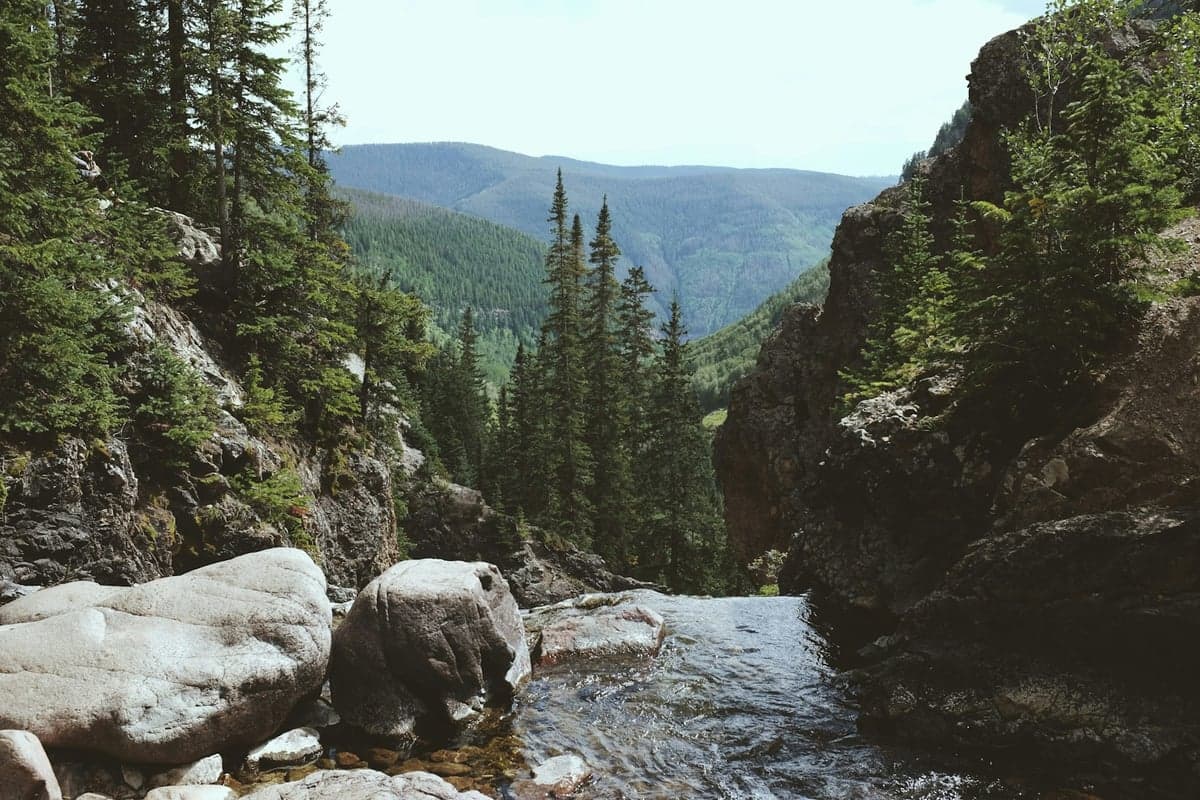 Clear river flowing between granite boulders and pine trees in a Colorado canyon
