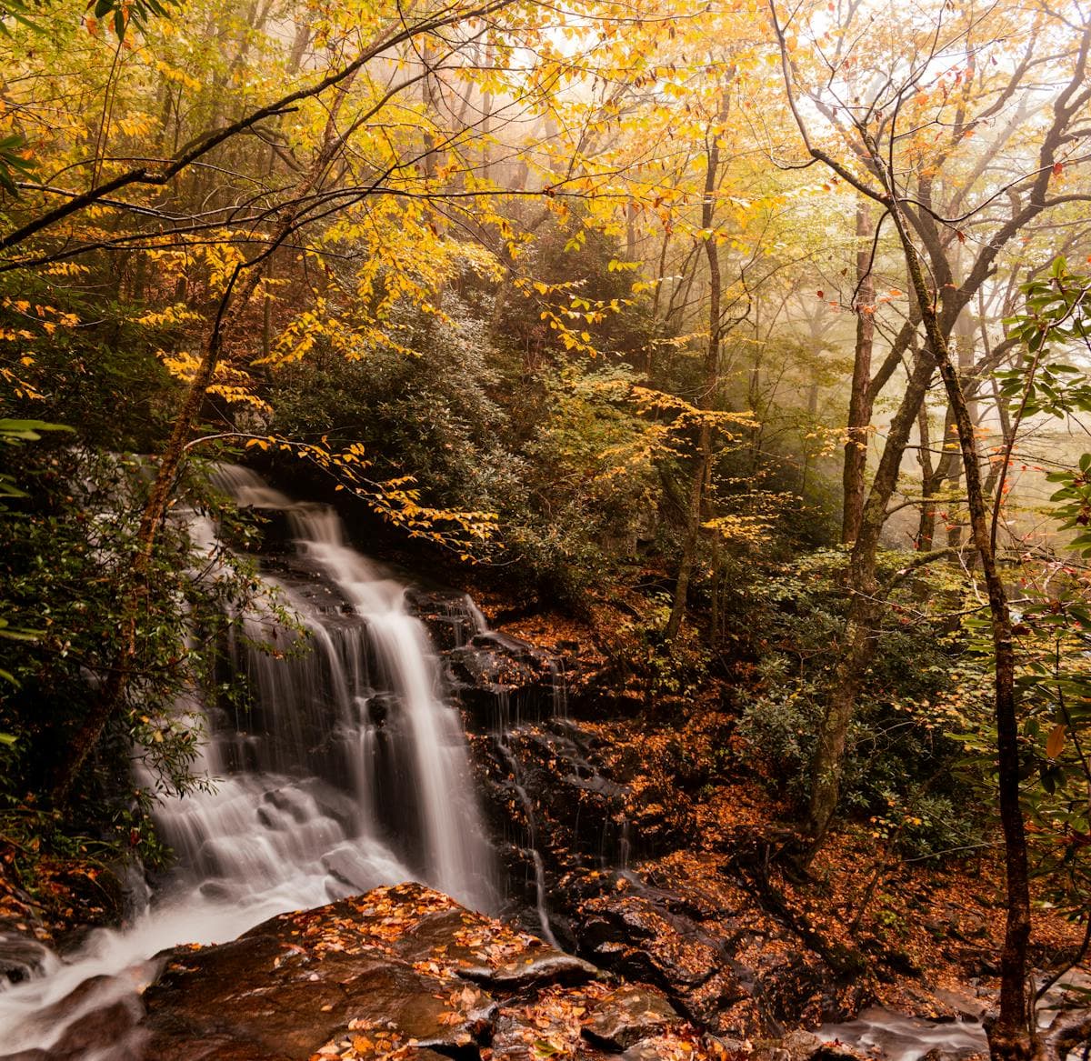 A cascade in the Smoky Mountains surrounded by fall color - Tennessee's freestone streams offer a completely different experience from the tailwaters