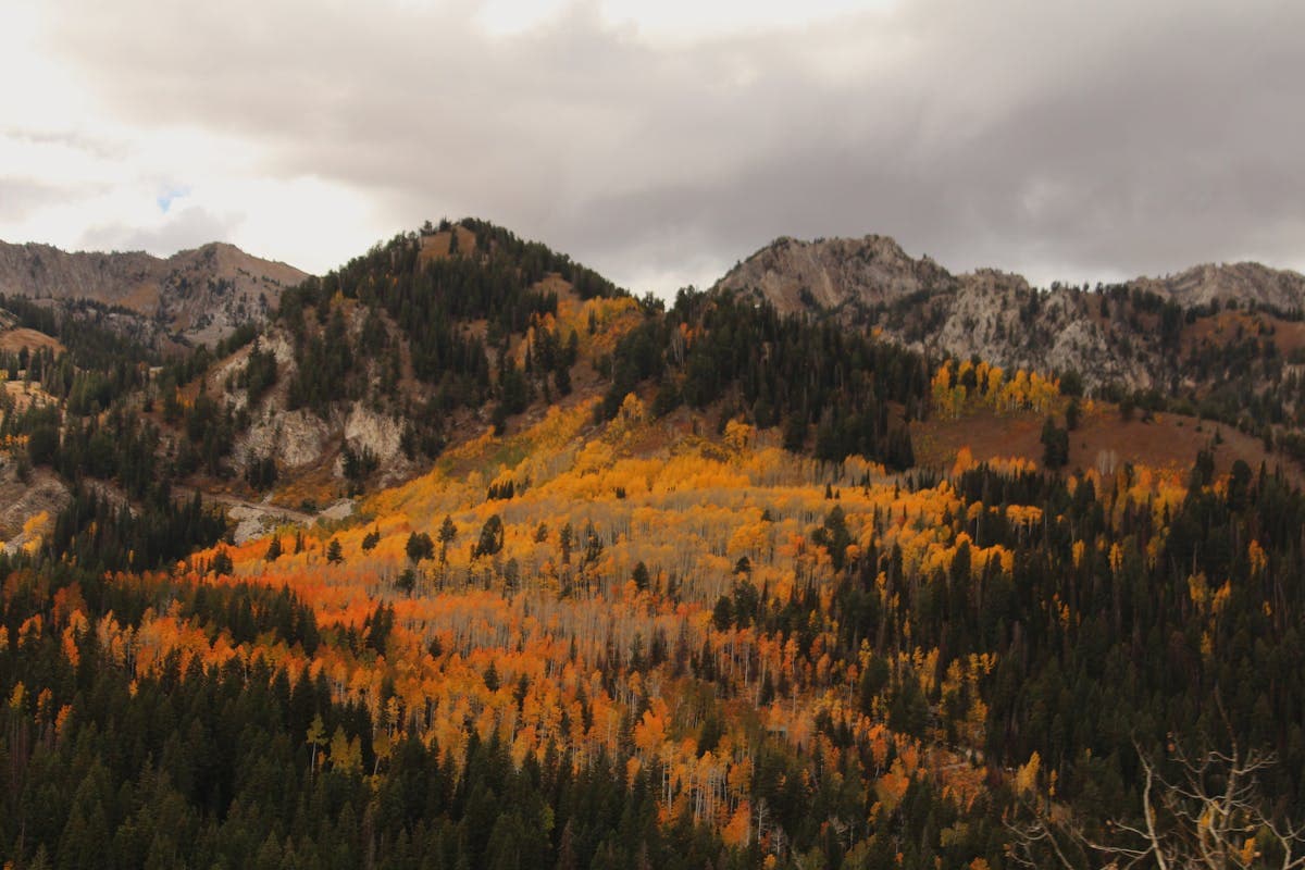 September in Utah: fall colors, comfortable temps, and eager trout
