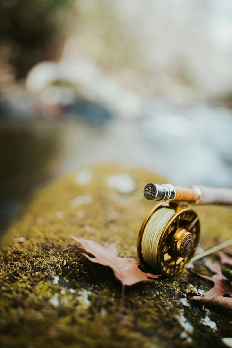 Fly rod and reel resting on a mossy rock beside a calm stream, the kind of scene you will find on Mossy Creek