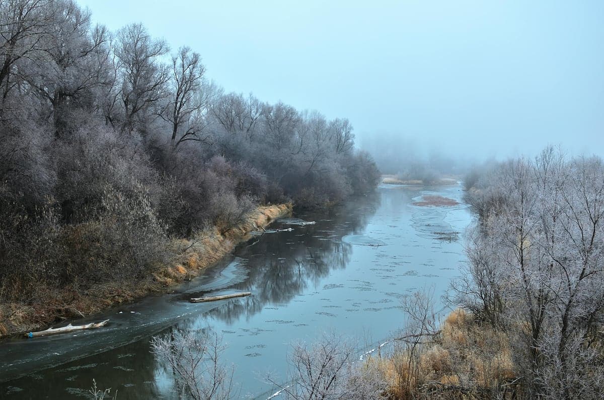 Winter tailwater conditions: cold air meets warmer dam releases, creating frost and mist along the banks