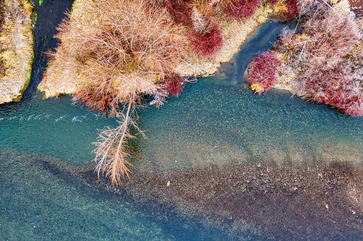 The Yakima River canyon in Washington — a sleeper hopper destination with strong wild rainbows