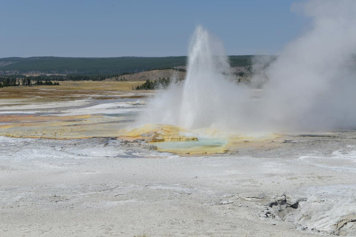 A Yellowstone geyser erupts. The Firehole River flows through active thermal basins, producing some of the earliest hatches in the park.