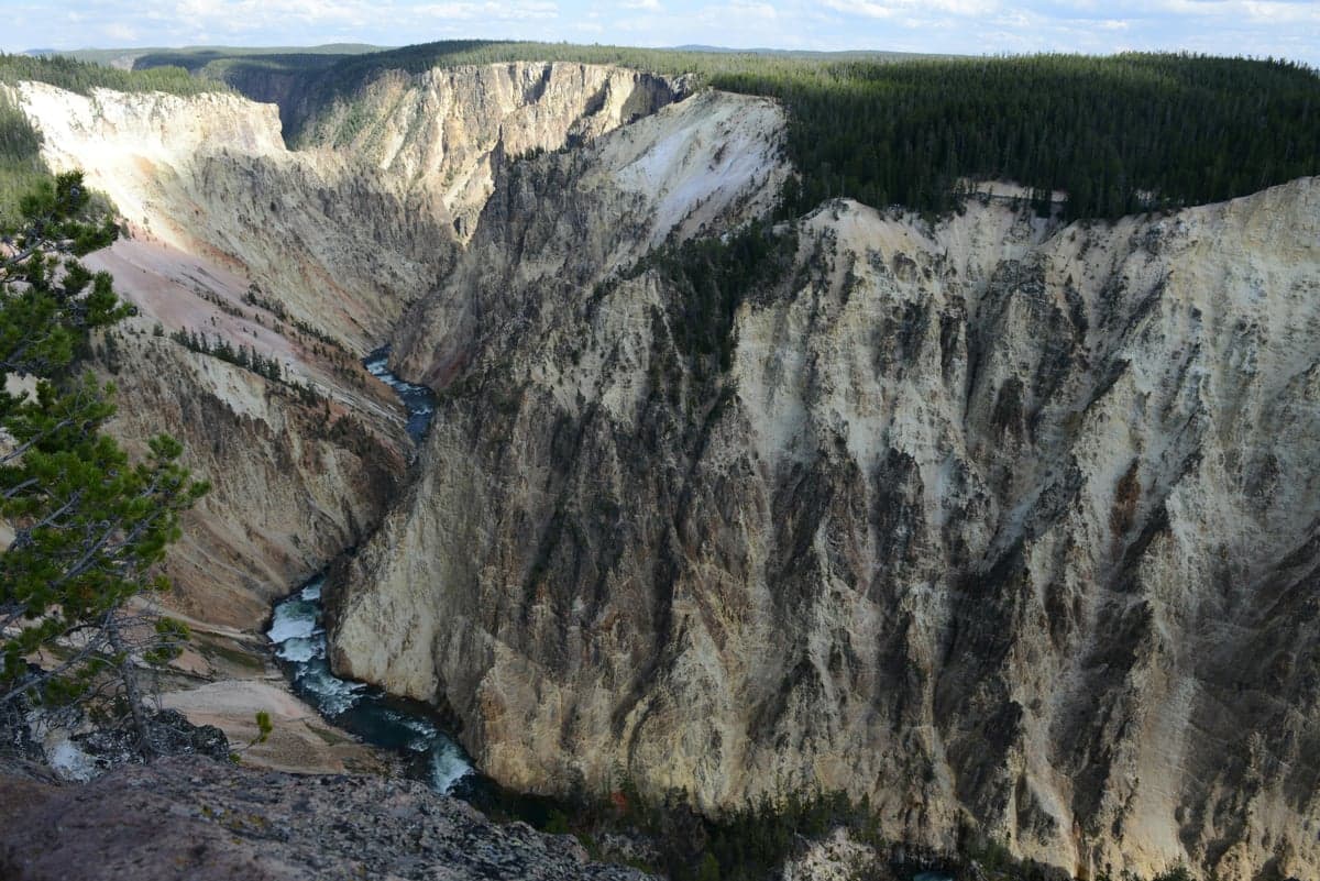The Grand Canyon of the Yellowstone, where steep trails lead to some of the park's least-pressured cutthroat water