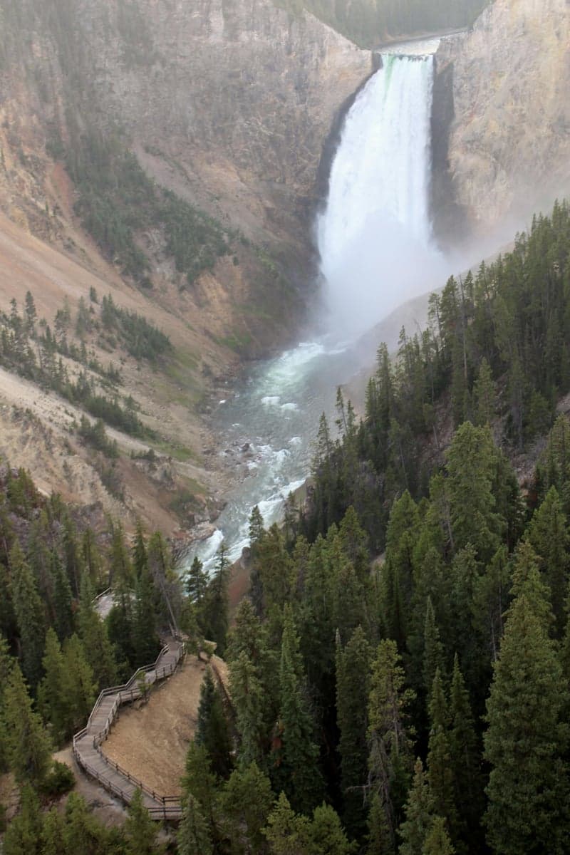 Lower Falls of the Yellowstone River. The Grand Canyon section below these falls holds some of the park's least-pressured cutthroat trout.