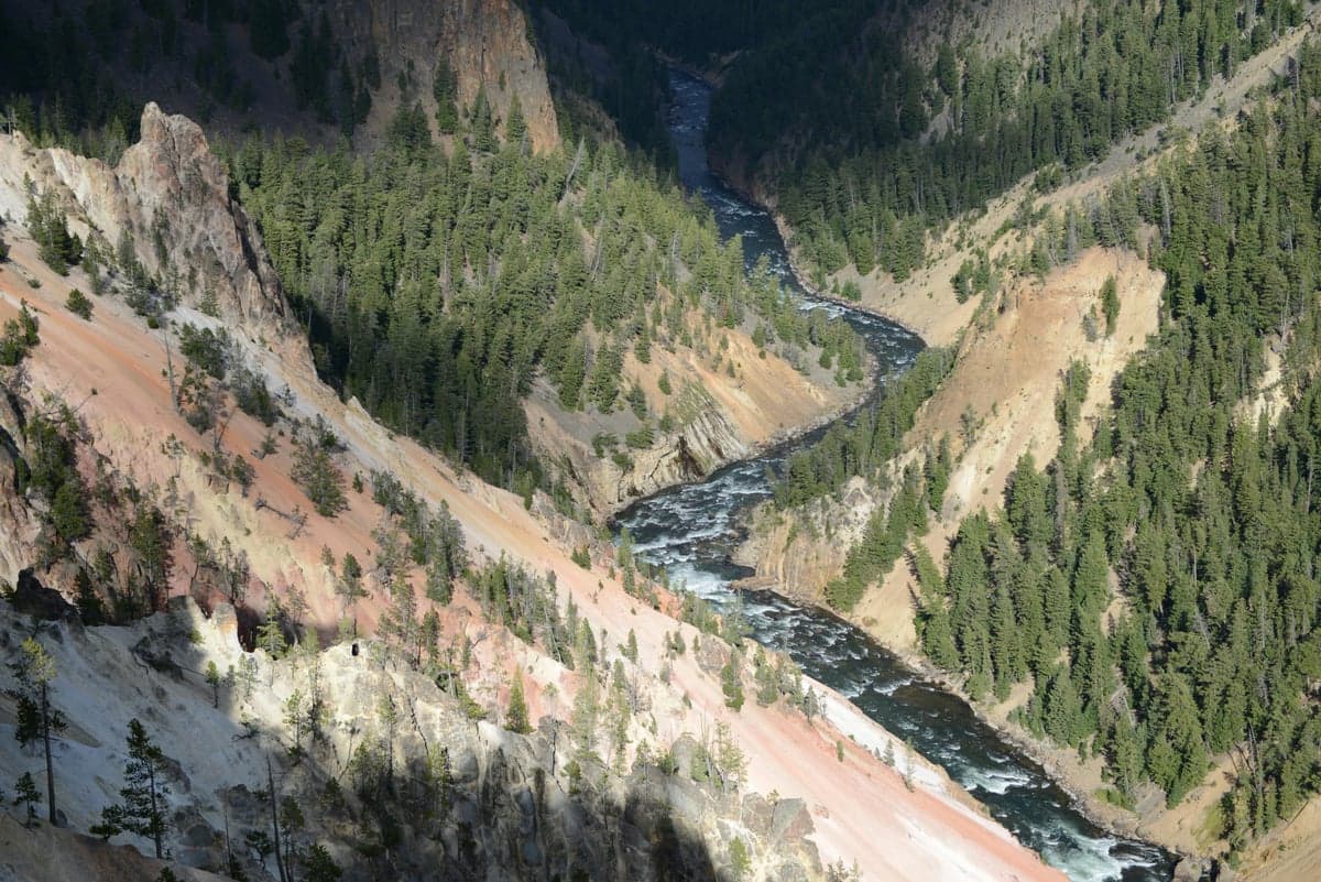 Aerial view of the Yellowstone River winding through a green canyon in Yellowstone National Park